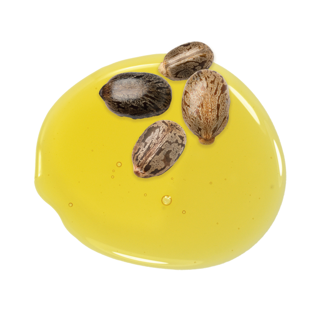 Castor Seed Oil