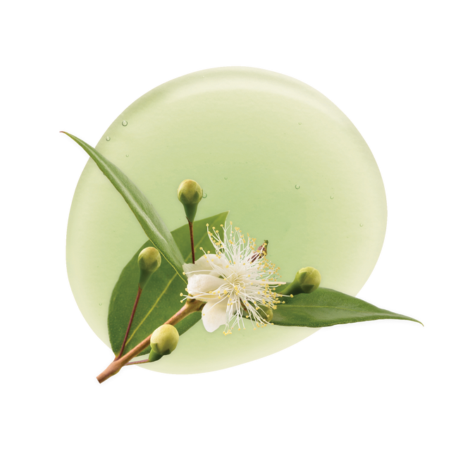 Lemon Myrtle Leaf Extract